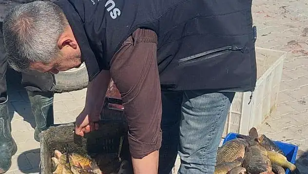 Beyşehir Gölü'nde yeni sezon cetvelle başladı!