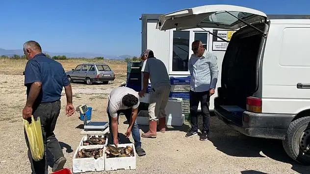 Beyşehir Gölü'nde balık boy yasağı denetimleri
