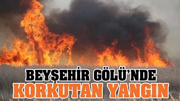 Beyşehir Gölü'nde Korkutan Yangın