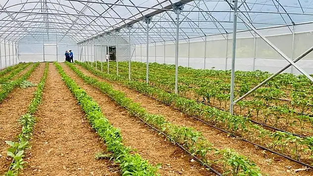 Beyşehir ve Hüyük'te örtü altı tarıma proje desteği