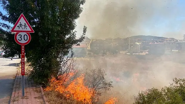 Beyşehir'de alevler bahçelere ulaşmadan söndürüldü