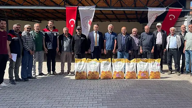 Beyşehir'de ayçiçeği ekimi ile tarlalar sarıya boyanacak