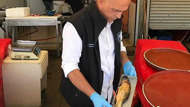Beyşehir'de balık boy yasağına uygun avlanmaya sıkı takip