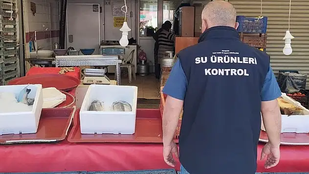 Beyşehir'de balık işlemelerinde denetim devam ediyor