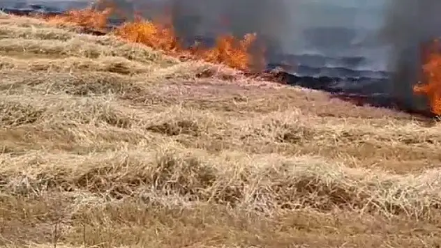 Beyşehir'de korkutan anız yangını, evlere sıçramadan söndürüldü