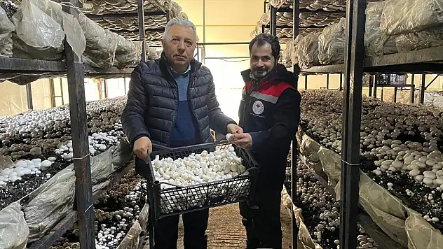 Beyşehir'de Mantar Üretim Süreçleri İncelendi!