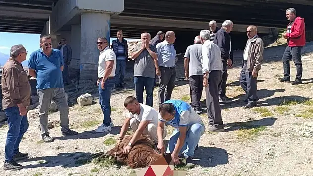 Beyşehirli balıkçılar göl kenarında toplanıp kurban kestiler