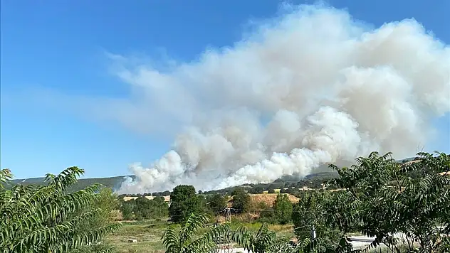 Bilecik'te anızda başlayıp ormana sıçrayan yangına müdahale ediliyor