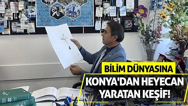 Bilim Dünyasına Konya'dan Heyecan Yaratan Keşif!