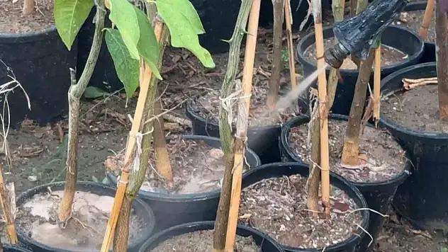 Bilinçsiz gübre, ilaç ve hormon kullanımı tehlike oluşturuyor