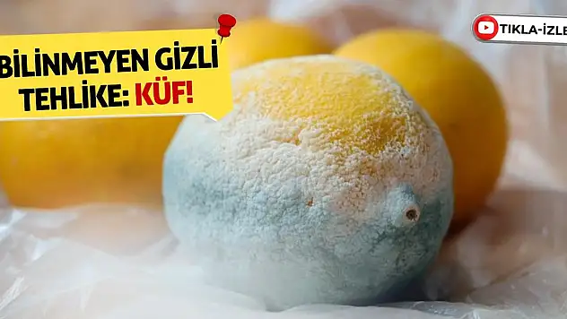 Bilinmeyen gizli tehlike: Küf!