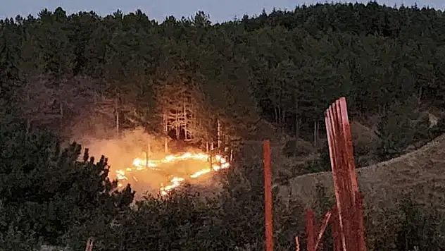 Bingöl'de çıkan orman yangını kontrol altına alındı