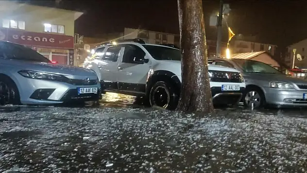Bingöl'de sağanak ve dolu etkili oldu