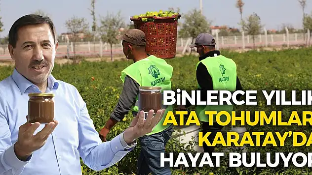 Binlerce Yıllık Ata Tohumları Karatay'da Hayat Buluyor