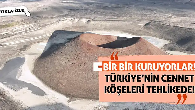 Bir bir kuruyorlar! Türkiye'nin Cennet Köşeleri Tehlikede!