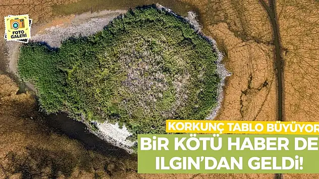 Bir Kötü Haber de Ilgın'dan Geldi! Korkunç Tablo Büyüyor