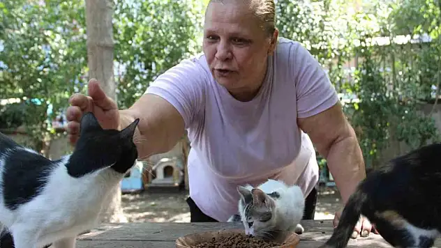 Bir sesine onlarca kedi koşuyor