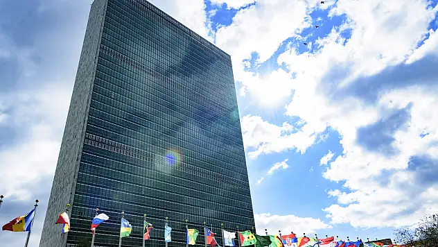 BM İnsan Hakları Konseyi'nin 15 yeni üyesi belli oldu