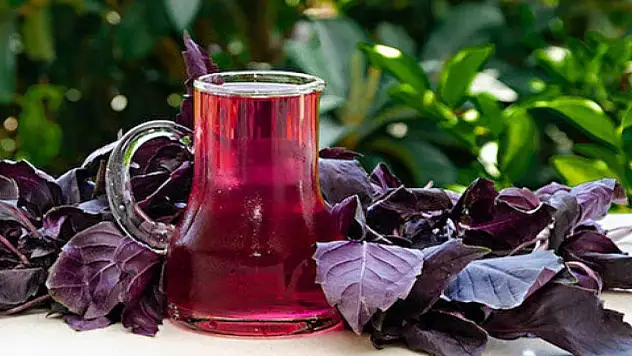 Böbrek taşlarını yerinden oynatan çayın tarifi!