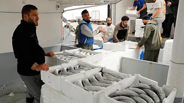 Bol ve iri palamut balıkçıların yüzünü güldürüyor
