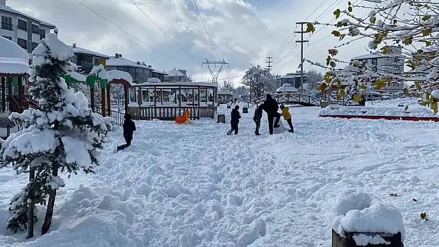 Bolu'da 4 ilçede kar tatili
