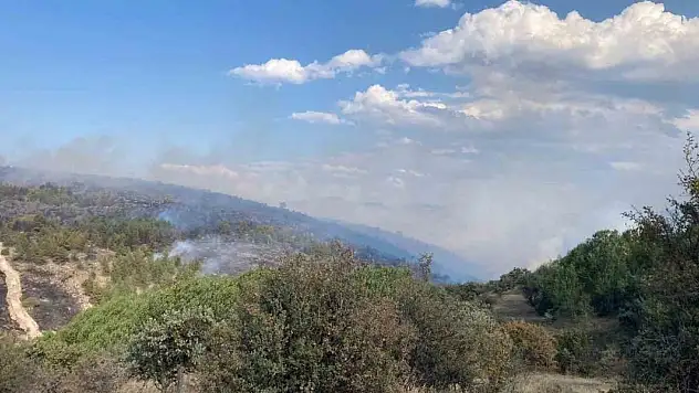 Bolu'da devam eden yangın Ankara istikametine yöneldi