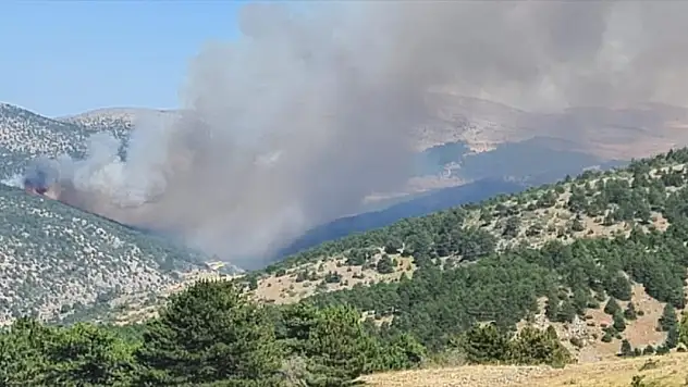 Bolu'daki orman yangını Eskişehir il sınırına yaklaştı