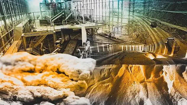 Borda 2024'te 1,3 milyar dolarlık satış rekoru kırıldı