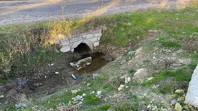 Boş arazide bebek cesedi bulundu
