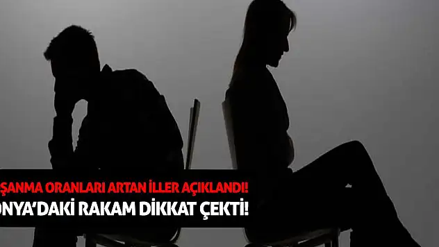 Boşanma Oranı En Çok Artan İller Belli Oldu! İşte dikkat çekici o rakamlar...
