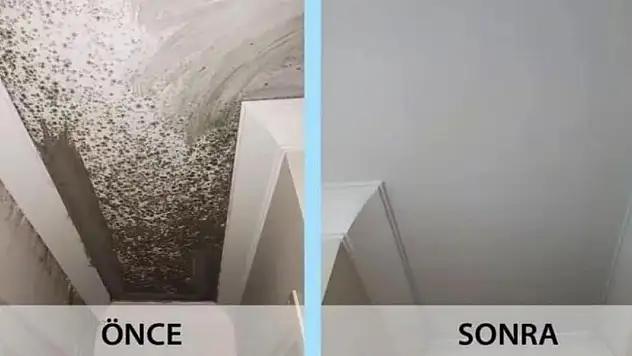 Boya yapmanıza gerek kalmayacak! Duvarlarınızda oluşan küfleri  önleme yöntemleri