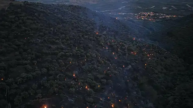 Bozdoğan yangını büyük ölçüde kontrol altına alındı