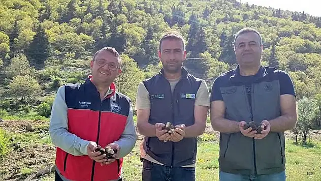 Bozkır'da sahada Kuzu Göbeği incelemesi