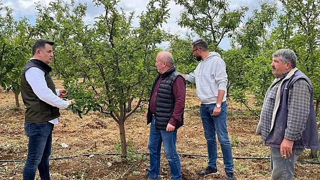Bozkır'da tarım arazilerinde dolu zararı oluştu