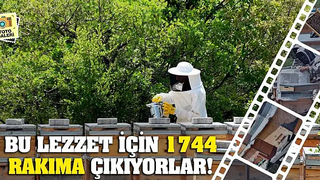 Bu lezzet için 1744 rakıma çıkıyorlar!