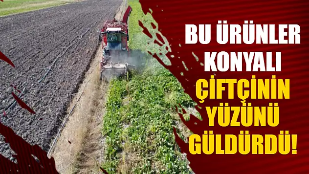 Bu Ürünler Konyalı Çiftçinin Yüzünü Güldürdü!