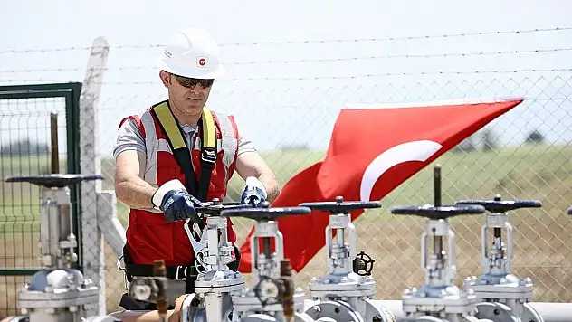 Bu yılın en yatırımcı KİT'i TPAO olacak