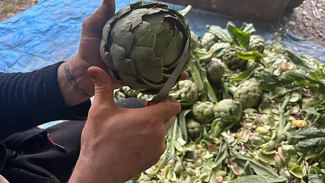Bunu yaparak ayda 240 bin lira kazanıyor! Konya'da da olsa dedirtti...