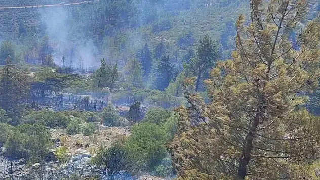 Burdur'da yıldırım düşmesi sonucu çıkan orman yangını söndürüldü