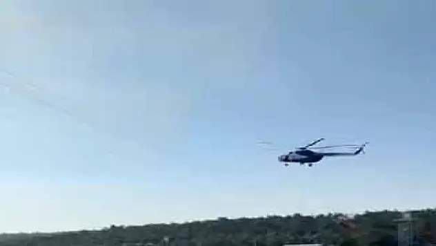 Bursa'da orman yangını