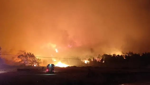 Bursa'da orman yangını