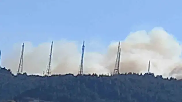 Bursa'da orman yangını