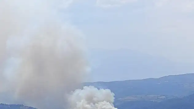 Bursa'da ormanlık alanda çıkan yangına müdahale ediliyor
