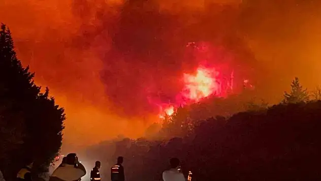 Bursa'daki orman yangını kontrol altına alındı