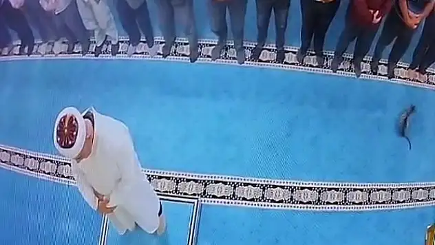 Camide kediyi tekmeleyen şahsa sosyal medyada tepki yağdı