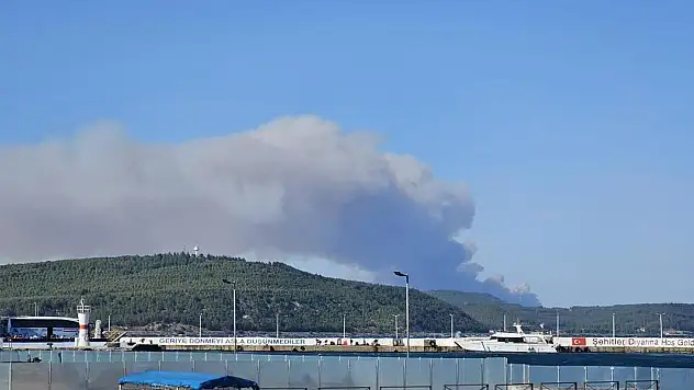 Çanakkale Gelibolu'da orman yangını