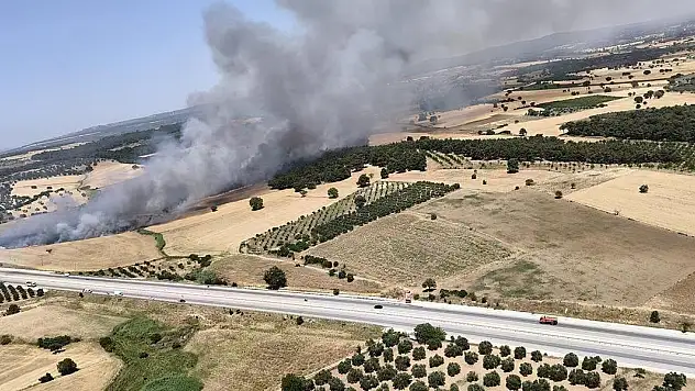 Çanakkale'de iki ayrı bölgede orman yangını