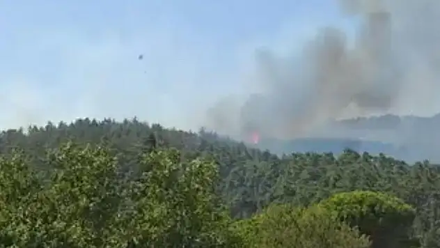Çanakkale'de orman yangını