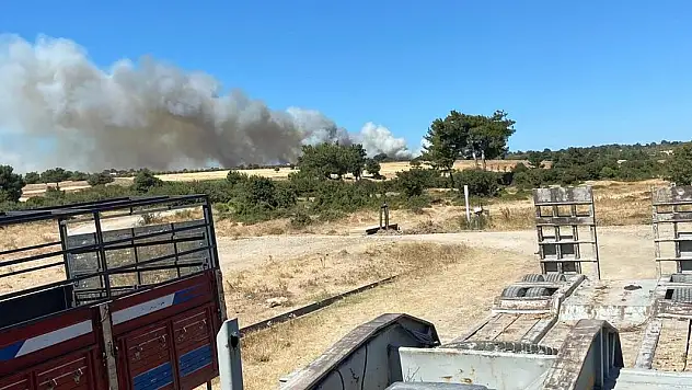 Çanakkale'de orman yangını