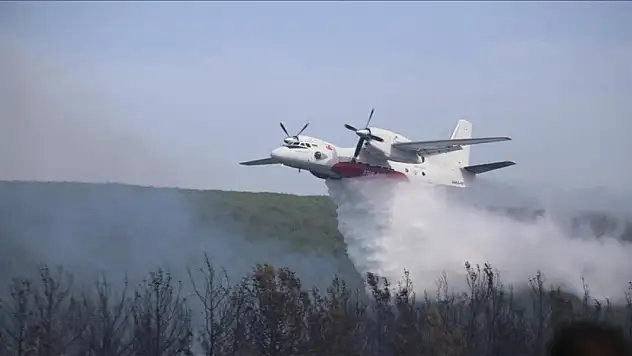 Çanakkale'deki orman yangını kontrol altına alındı
